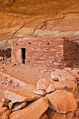 Anasazi ruins at Perfect Kiva Site, Bullet Canyon, Grand Gulch Primitive Area, Cedar Mesa Utah