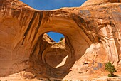 Bowtie Arch near Moab Utah