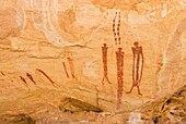 Barrier style pictographs on ceiling of alcove in Wild Horse Canyon, San Rafael Reef Utah