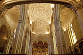 Church of Santa Maria la Mayor, Trujillo, Caceres province, Extremadura, Spain