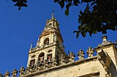 Minaret tower of the Great Mosque cathedral, Cordoba. Andalusia, Spain