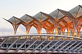 Oriente railway station by Santiago Calatrava at Dusk, Gare do Oriente at dusk Parque das Nações Lisbon, Portugal