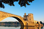Pont Saint-Benezet medieval bridge over Rhone river, Avignon. Vaucluse, Provence-Alpes-Côte d'Azur, France