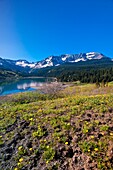 Trout Lake, Lizard Head Pass, near Telluride, Colorado USA