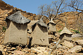 Ireli village, Bandiagara Escarpment, Dogon Country, Mali