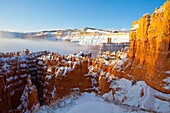 Bryce canyon national park, Fog, Hoodoo, Mist, Nature, Snow, Southwest, Tree, United states of america, Utah, Weather, Winter, S19-1107276, agefotostock