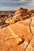 Arizona, Cottonwood cove, Delicate, Desert, Fin, Landscape, Nature, Page, Rock, Sandstone, Scenic, South coyote buttes, Southwest, United states of america, S19-1107399, agefotostock