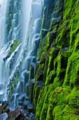 Berg, Cascade mountain, Falls Proxy, landschaft, Oregon, Strom, traumhaft, USA, Wasser, Wasserfall, S19-1190542, AGEFOTOSTOCK
