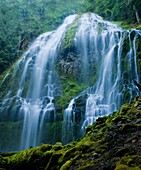 Berg, Cascade mountain, Falls Proxy, landschaft, Oregon, Strom, traumhaft, USA, Wasser, Wasserfall, S19-1190546, AGEFOTOSTOCK