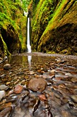Landscape, Oneonta Gorge, Oregon, River gorge, scenic, USA, water, waterfall, S19-1190548, AGEFOTOSTOCK