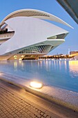 arts palace queen sofia in the city of arts and sciences, Valencia, Spain