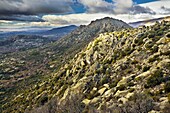 Sierra de la Cabrera Comunidad de Madrid España