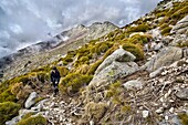 Lanchamala Sierra de Gredos Castilla León España