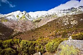 Pinarejo shed and backs of the Sierra de Gredos Galayos Castilla León Spain