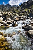 Throat Tejea on the Board of shoes Sierra de Gredos Spain Castilla León