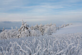 Tourist, Wanderer, Landschaft, Schnee, verschneit, Schnee, Winter, bei Gersfeld, Wasserkuppe, Mittelgebirge Rhön, Hessen, Deutschland