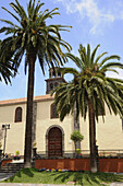 Palm trees in front of the church Iglesia de la Conception, San Cristobal de la Laguna, old town, Tenerife, Canary Islands, Spain