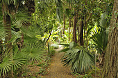 Botanical Garden, Puerto de la Cruz, Tenerife, Canary Islands, Spain