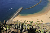 Sandy beach, palm trees and boats at Playa de las Teresitas, San Andres, Tenerife, Canary Islands, Spain