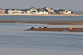 Seals, Somme (80), Picardy, France