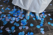 Blue And White Confetti At A Wedding, Somme (80), Picardy, France