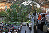 Passengers Waiting For Their Train, Atocha Train Station And Its Tropical Garden, A Veritable 4000 M2 Jungle, Madrid, Spain