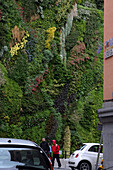 Living Wall Of Patrick Blanc In Front Of The Caixa Forum, Cultural Center, Paseo Del Prado, Madrid, Spain