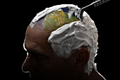 A Man's Head Being Shaved, Illustration Of The Planet's Deforestation, Photo Exhibition 'Fragile Earth' Presented By The Association 'L'Effet Colibri' France