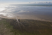 Luftbild, Priele Wasserläufe, Muschelbänke im Wattenmeer, Nordfriesisches Wattenmeer, Übergangswelt zwischen Land und See, Niedersachsen, Deutschland