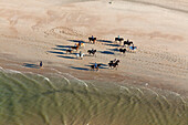 Aerial shot of riders at North Sea beach, Lower Saxony, Germany