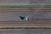 Tractor in field, Lower Saxony, Germany