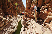 Two people crossing canyon with waterpool at chain, Olive trail, Naukluft mountains, Namib Naucluft National Park, Namibia