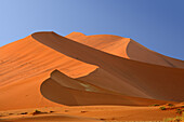 Red sand dunes in Sossusvlei, Sossusvlei, Namib Naukluft National Park, Namib desert, Namib, Namibia