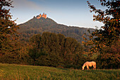 Burg Hohenzollern, bei Hechingen, Schwäbische Alb, Baden-Württemberg, Deutschland