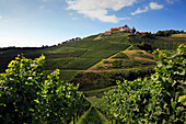 Schloss Staufenberg, bei Durbach, Ortenau, Mittlerer Schwarzwald, Baden-Württemberg, Deutschland