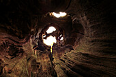 View upwards out of a hollow trunk of an old oak, nature reserve Urwald Sababurg at Reinhardswald, near Hofgeismar, Hesse, Germany