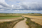 Weg zwischen Feldern unter Wolkenhimmel, Provinz Burgos, Altkastilien, Castilla y Leon, Nordspanien, Spanien, Europa