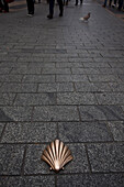 Jakobsmuschel auf dem Boden in der Fussgängerzone, Leon, Provinz Leon, Altkastilien, Castilla y Leon, Nordspanien, Spanien, Europa
