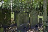 Gravestones at jewish cemetery at the district Altona, Hanseatic city of Hamburg, Germany, Europe