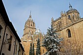 Cathedrals of Salamanca city in winter World Heritage City in Castilla y León, Spain