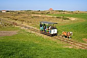 Horse-driven railway on the island of Spiekeroog, Germany, Europe