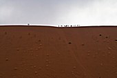 People standing on top of a dune in the Dead Vlei, Namibia, Africa
