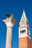 Campanile and lion statue on St. Mark's square in Venice, Italy, Europe