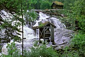 Norway, Hardanger, Odda region, Water mill
