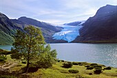 Norway, Nordland, Svartisen Glaciar