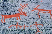 Norway, Finmark, Alta, World Heritage Site, Rocks paintings, Man and reindeers