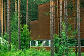 Finland, Punkaharju, Lusto Finnish Forest Museum