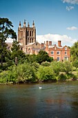 Hereford Cathedral on the banks of the River Wye, Hereford city, Herefordshire, England, UK