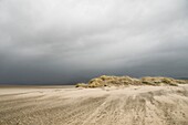 Wind blowing sand, Ynyslas Nature Reserve, Borth, Ceredigion, Wales, UK