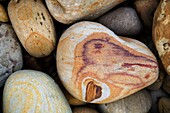 Colourful Stones on The Beach at Hayburn Wyke near Scarborough Yorkshire England